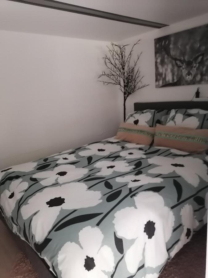 Les Studios Du Domaine D'Eva Libramont-Chevigny Zewnętrze zdjęcie
