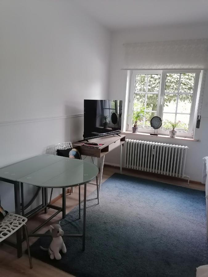 Les Studios Du Domaine D'Eva Libramont-Chevigny Zewnętrze zdjęcie